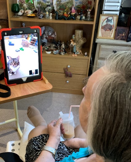iPad Technology in the Care Homes